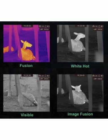 Hikmicro Monocolo Termico Gryphon - GH35L