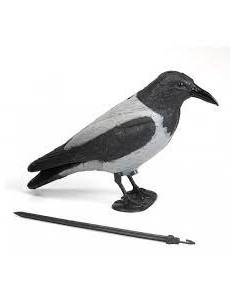 Stampo cornacchia Made in italy