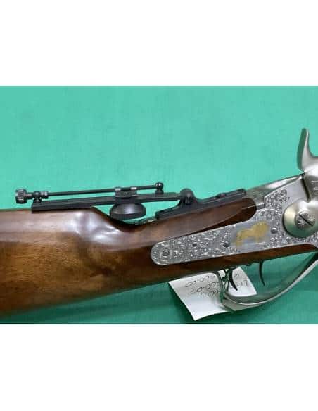 Fucile Pedersoli Davide sharps calibro 45/70
