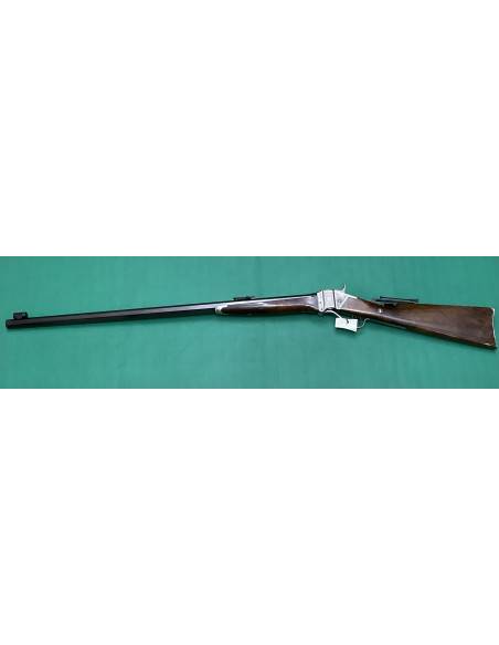 Fucile Pedersoli Davide sharps calibro 45/70