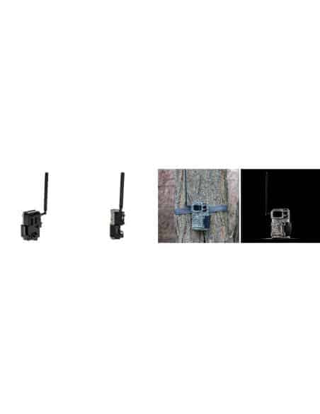 Fototrappola SpyPoint Link Micro LTE codice cg21lmlt