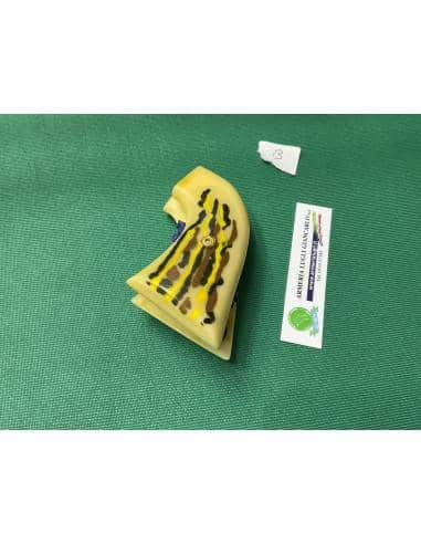 Guancette per COLT 1973 sa