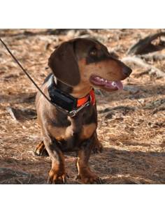 Collare per cane Dog Trace  Aggiuntivo GPS X20+ satellitare per cani 2