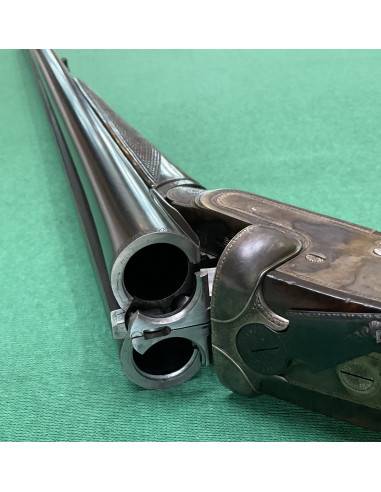 Desenzani cal. 12 Tartarugata