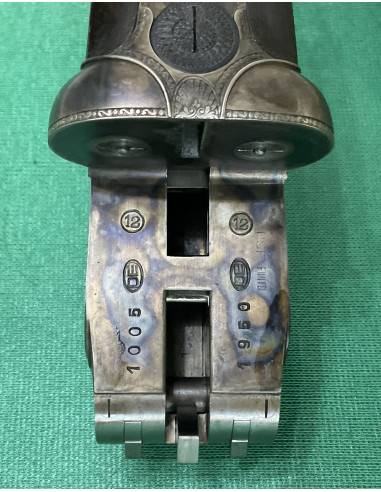 Desenzani cal. 12 Tartarugata