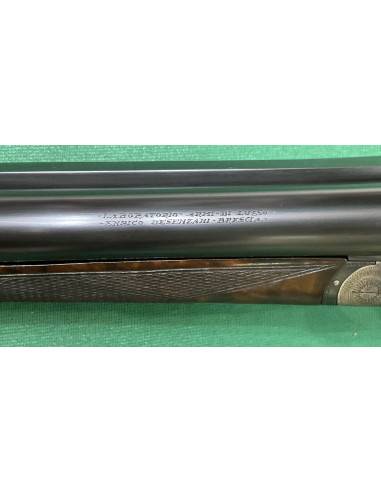 Desenzani cal. 12 Tartarugata