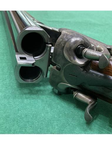 Webley & Scott cal. 12 cani esterni incisa