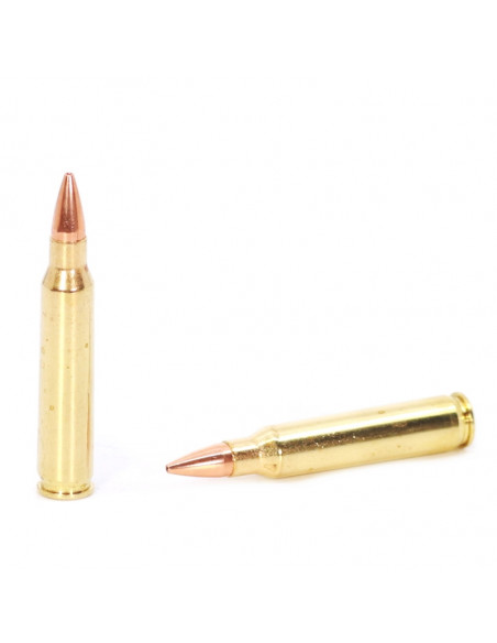 Hornady Superformance 223 Remington Ammo 55 Grain Copper Solid CX 832744