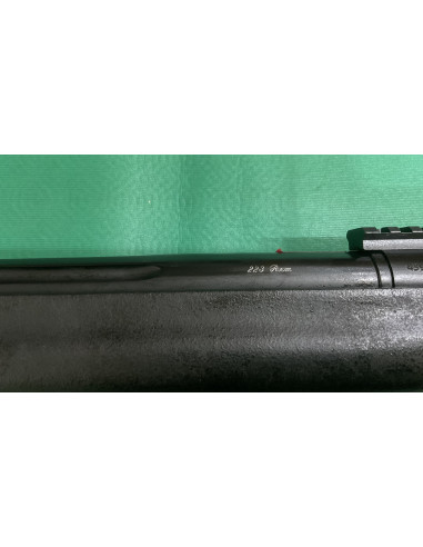 HS Precision HTR 2000 calibro 223rem