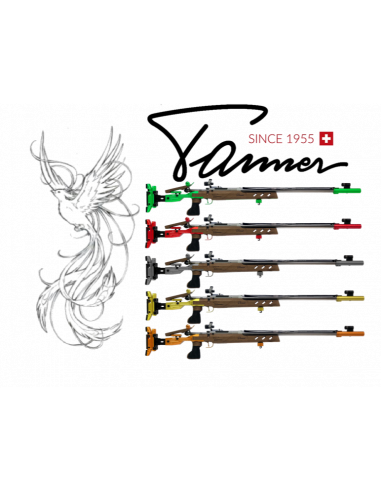 Carabina Tanner Standardgewehr 300m PHÖNIX calibro 22lr