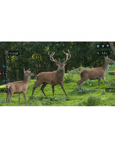 BINOX ATN 4K – 4-16x – LRF1000mt Binocolo digitale diurno e notturno ATNNVBX4K