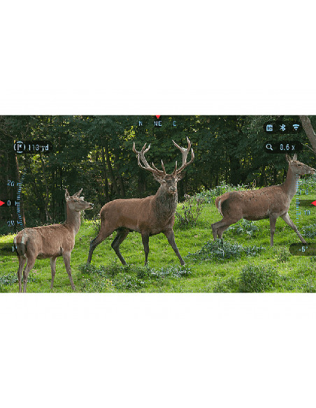 BINOX ATN 4K – 4-16x – LRF1000mt Binocolo digitale diurno e notturno ATNNVBX4K