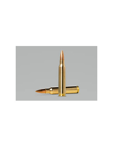 Cartucce Munizioni per carabina Colpi Norma golden target match calibro 308 168 grani 10,9g