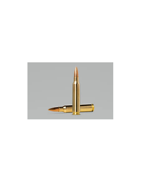 Cartucce Munizioni per carabina Colpi Norma golden target match calibro 308 168 grani 10,9g