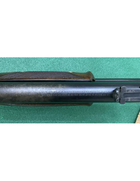 Colt Lightning 1887 Large Frame cal. 40-60  - COD. C1-