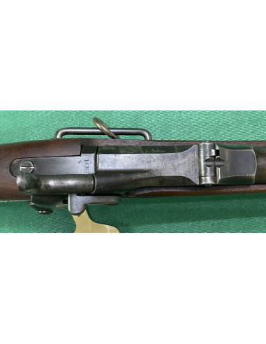 Springfield Trapdoor 1879 cal. 45-70 - COD. S2 -