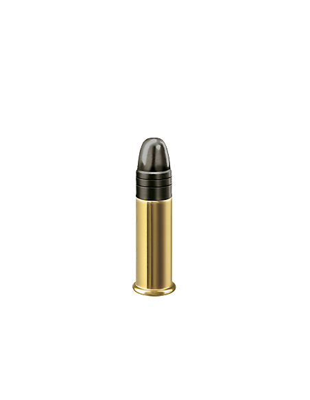 CARTUCCE MUNIZIONI COLPI CALIBRO 22 LR RWS PISTOL MATCH 40 GRANI 50 PEZZI