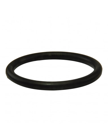 O- RING R16974 HATSAN n° ESPLOSO 2318 O-RING PER IL CILNDRO  ORING DEL CILINDRO PER HATSAN AT44