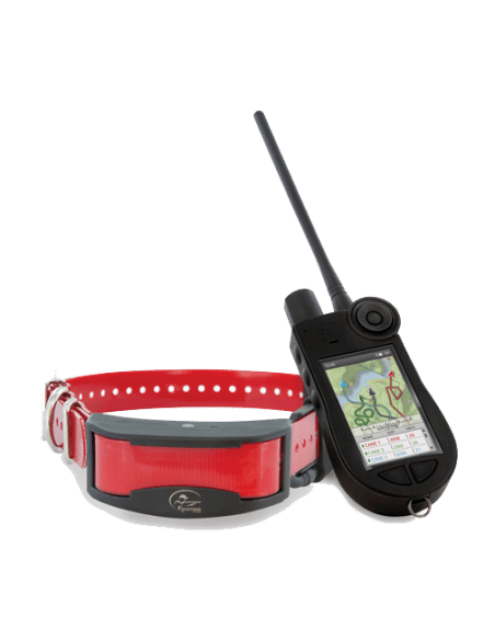 DOGtrace - Collare da dressage D-Control Easy