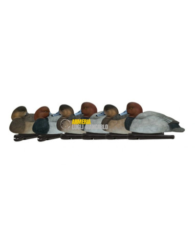 AVIAN X  SET DA 6PZ DI STAMPI MORIGLIONE moriglione galleggianti 2 maschi 2 femmine 1 maschio sleepere 1 femmina sleeper".