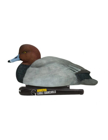 AVIAN X  SET DA 6PZ DI STAMPI MORIGLIONE moriglione galleggianti 2 maschi 2 femmine 1 maschio sleepere 1 femmina sleeper".