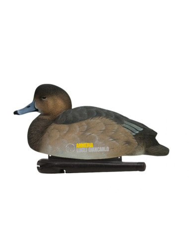 AVIAN X  SET DA 6PZ DI STAMPI MORIGLIONE moriglione galleggianti 2 maschi 2 femmine 1 maschio sleepere 1 femmina sleeper".
