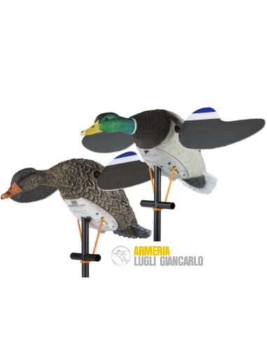 LUCKY PAIR LUCKY DUCK  SET STAMPI MOTORIZZATI GERMANO MASCHIO E FEMMINA AD ALI GIREVOLI Set di due stampi motorizzati