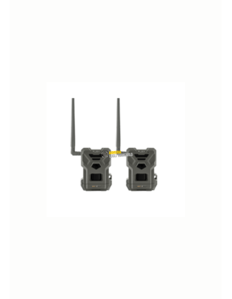 Fototrappole, fototrappole cellulari Spypoint Flex E-36 Twin Pack FLEX, con invio FOTO e VIDEO su APP CG21FX36TP
