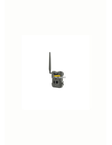 Fototrappole, fototrappole cellulari Spypoint Flex E-36 Twin Pack FLEX, con invio FOTO e VIDEO su APP CG21FX36TP