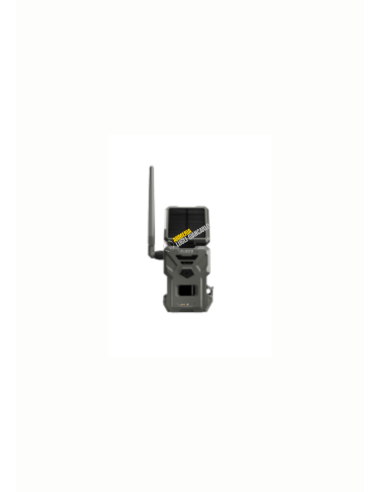 Fototrappole fototrappole cellulari Spypoint Flex E-36 Solar FLEX SOLAR, con invio FOTO e VIDEO su APP CG21FX36S