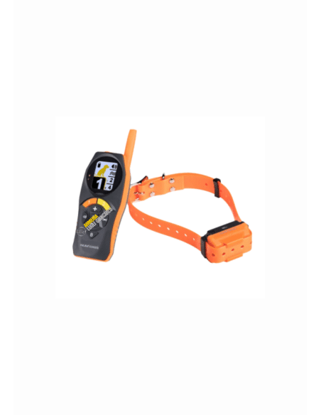 Collari addestramento, Collari educativi CANICOM R-800 METRI 2 CANI PORTA