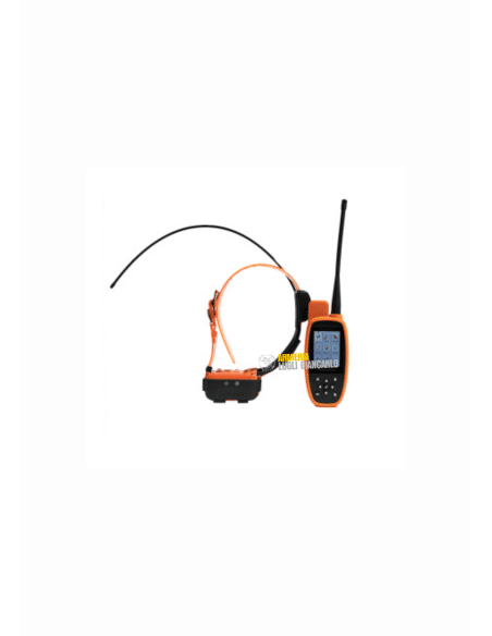 Cinofilia, Collari localizzazione GPS CANICOM GPS 2 15 KM PORTA 20 CANI CON ADESTRAMENTO INCORPORATO