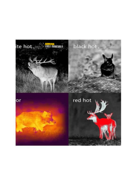 Monocolo Pard TA32-35 LRF con telemetro