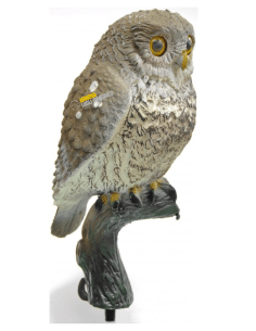 Stampo in plastica Civetta posata