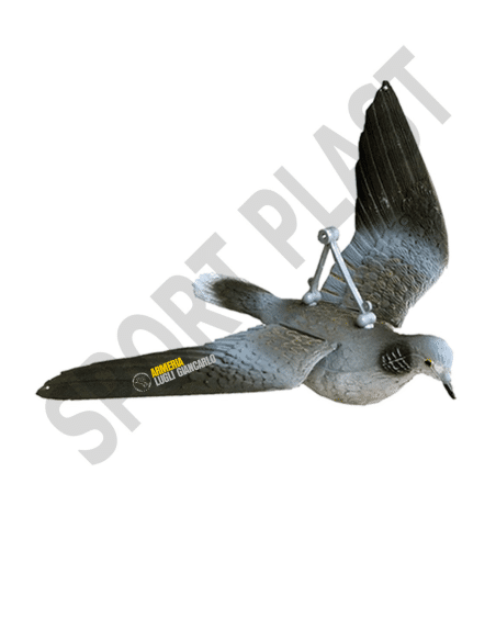 Stampa in plastica Tortora Europea in Volo 2 pezzi cod FL 239