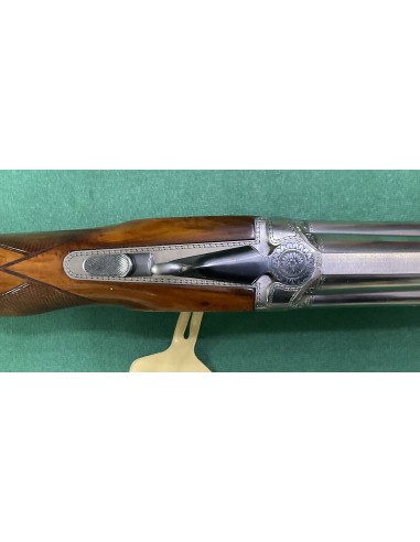 Pulcher Saga cal. 12