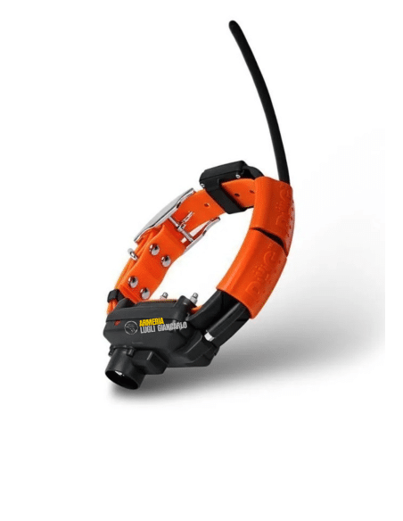 Collare Aggiuntivo GPS X30TB Dog Trace MODULO D’ADDESTRAMENTO INCLUSO