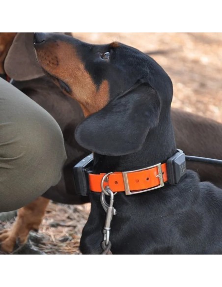 Collare Aggiuntivo GPS X20+