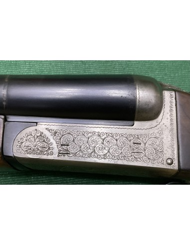 Zoli Antonio cal. 12