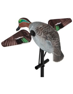 LUCKY HD – FEMMINA