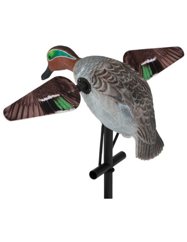 LUCKY HD – FEMMINA