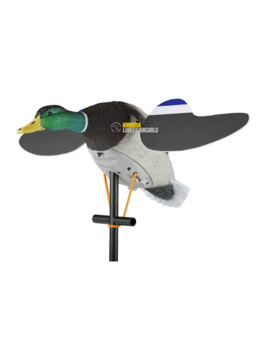 LUCKY JUNIOR II  LUCKY DUCK STAMPO MOTORIZZATO GERMANO MASCHIO AD ALI GIREVOLI
