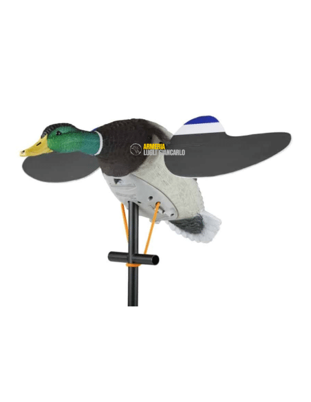 LUCKY JUNIOR II  LUCKY DUCK STAMPO MOTORIZZATO GERMANO MASCHIO AD ALI GIREVOLI
