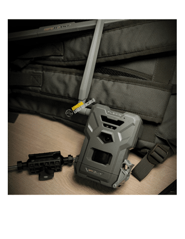 Fototrappole, Fototrappole cellulari Spypoint Flex-m Twin Pack  €259,00