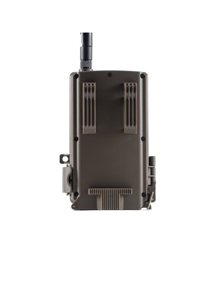 E40G WILDER FOTOTRAPPOLA 4G CLOUD 188,00 €