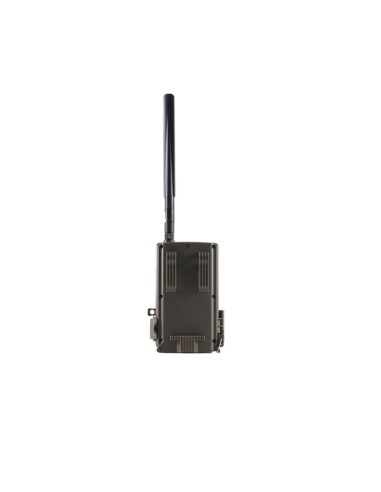 E40G WILDER FOTOTRAPPOLA 4G CLOUD 188,00 €
