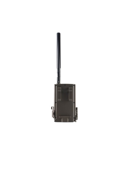 E40G WILDER FOTOTRAPPOLA 4G CLOUD 188,00 €