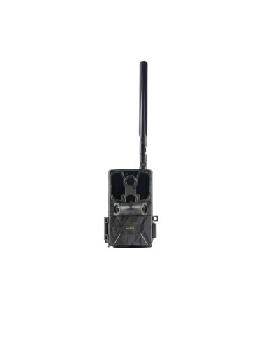 E40G WILDER FOTOTRAPPOLA 4G CLOUD 188,00 €
