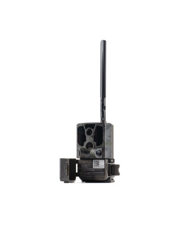 E40G WILDER FOTOTRAPPOLA 4G CLOUD 188,00 €