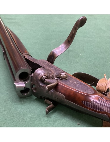 W.R. Pipe cal. 500 nitro express incisa